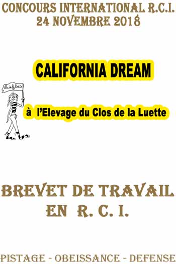 CALI elevage du Clos de la Luette COPYRIGHT 2018